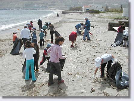 Cleaning the beach