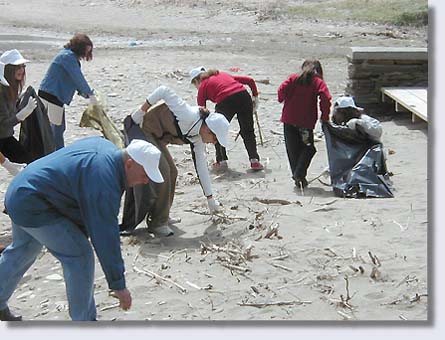 Cleaning the beach